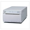  UP-D895 (Sony, )